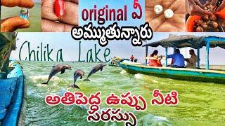 Chilika Lake Boating | Chilika Tour | Telugutraveller