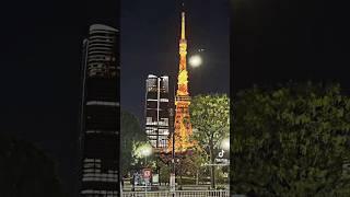 Bin In Tokio #mountainbike #tokio #doctrail #trailbike #city#giant #japan#enduro #aura #bikelife