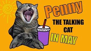 Penny the talking cat, adventures in May!