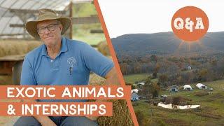 Raising Rare Farm Animals & Polyface Farm Internships | Q&A with Joel Salatin