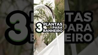 3 PLANTAS FÁCEIS DE CUIDAR PARA BANHEIRO! | Essa decoração melhorará seu momento de relaxamento! 