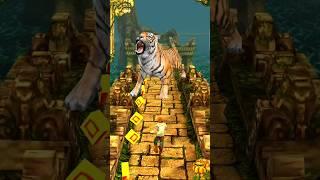 Tiger Attack Me  | #shorts | #2535
