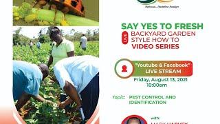 Pest Control and Identification- Say Yes to Fresh Backyard Gardening Series