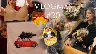 DOĞUM GÜNÜNE GİDİYORUZHarry Potter, Pr Gönderilerim, İhtiyaç Alışverişi, Çorap,İç Giyim #vlogmas 20