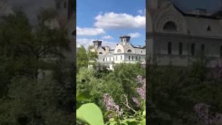 Таємні кімнати палацу у Корсуні #україна #історичніфакти #історія #мандри #квіти #мандруйукраїною