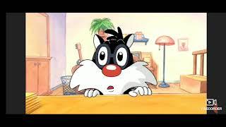 Baby looney Tunes puddle Olympus part 3