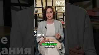 Почему собака ест какашки? 3 Причины и что делать! #собака  #суперсобака #кинолог
