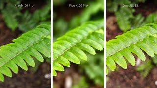 Xiaomi 14 Pro vs Vivo X100 Pro vs Oneplus 12 Camera Comparison Video & Photo