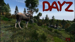 The Moose - DayZ Comedy