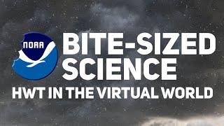 Bite-Sized Science: HWT in the Virtual World