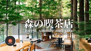 Ambient sounds + JAZZ Gentle forest coffee shop Relaxing work/study CAFE MUSIC - BGM for work