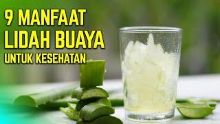 INILAH MANFAAT LIDAH BUAYA UNTUK KESEHATAN -Tips Sehat