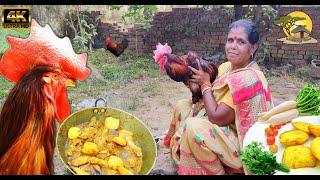 Village Famous RED COUNTRY Chicken Curry Eating with Rice | Village Cooking | JH-Village Food  