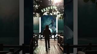 Добрый вечер ! Пожелания чудесного вечера!