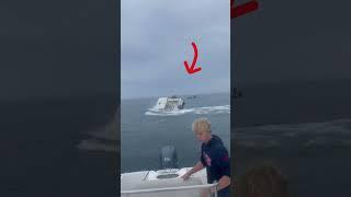 "Shocking Moment: Whale Patrols Portsmouth NH Waters, Capsizes Boat"