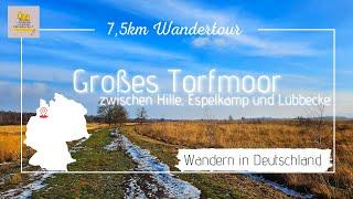 7,5km durch das Große Torfmoor - Hunde-/Familienfreundliche Wanderung - Kreis Minden-Lübbecke / NRW