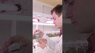 Конкурс аналитических проектов для жителей Гомельщины #гомель #новости