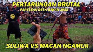 AKSI BRUTAL PEPADU MUDA SULIWA VS MACAN NGAMUK || PERESEAN DESA BAKAN 2022