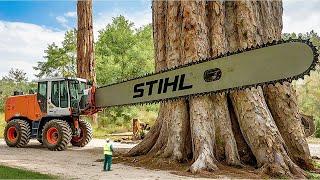 Extreme Dangerous Fastest Big Chainsaw Cutting Tree Machines | Monster Stump Removal Excavator #24