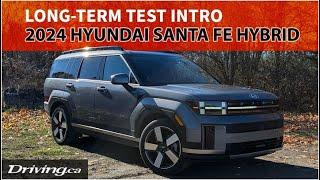 2024 Hyundai Santa Fe Hybrid | Long-Term Test Intro | Driving.ca