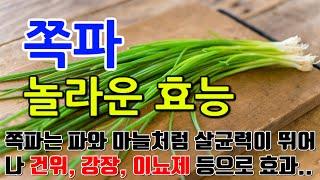 쪽파의 놀라운 효능 10가지 & 부작용 / "쪽파의 매력, 건강과 맛을 함께하는 즐거운 시간"