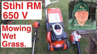 Stihl 6 Series Petrol Lawn Mower