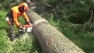 stihl 051 beim Ablängen