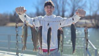 How to Catch MORE Rainbow Trout ‼️ Tips and Secrets