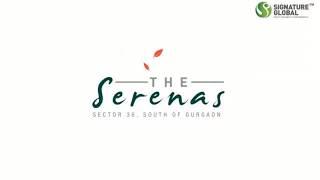 signature global serenas sector 36 sohna road south of gurgaon walkthrough 8010730143