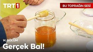 Gerçek Bal Nasıl Anlaşılır?  Bu Toprağın Sesi 14. Bölüm