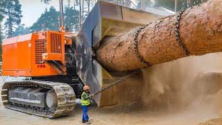 Amazing Dangerous Powerful Wood Chipper Machines, Fastest Tree Shredder & Heavy Equipment Machines