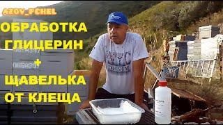 Обработка пчёл глицерин щавелька от клеща ( Glycerin treatment of sorrel from ticks )