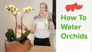 How To Water Orchids In Self-watering Planters