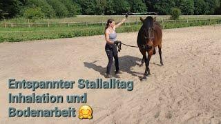 Relaxed everyday stable life - inhalation and floor work 