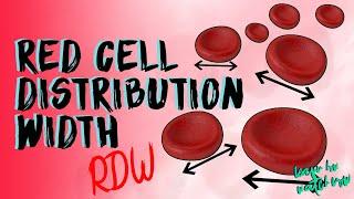 Understand Red Cell Distribution Width | RDW | RDW - CV | RDW - SD