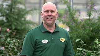 Pike Nurseries Landscaping