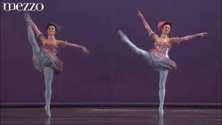 TCHAIKOVSKY: The Nutcracker by the San Francisco Ballet