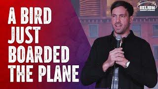 Airplane Bird | Jeff Dye