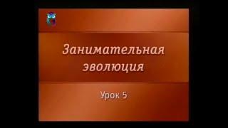 Эволюция животного мира. Урок 5. Выход на сушу - крупнейший прорыв в эволюции