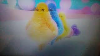 Boohbah: Fido's Bone End Dance