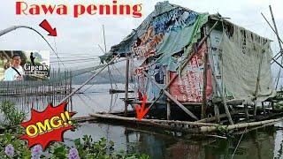 Mancing rawa pening dapet ikan arwana putih