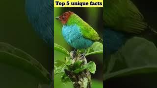 top 5 unique facts  #amazingfacts #interestingfact #factsinhindi #viralvideo