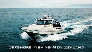 overnight offshore fishing for bluefin tuna south island west coast New Zealand - bluenose, sharks