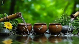 Âm nhạc thư giãn Giảm căng thẳng, lo âu và trầm cảm  Chữa lành tâm trí, cơ thể - Giấc ngủ sâu