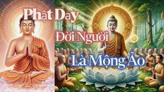 Phật Dạy Đời Người là Mộng Ảo | Lời Phật Dạy