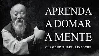 Chagdud Tulku Rinpoche - Aprenda a Domar a Mente