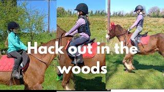 Hack out in the woods ( winnies friend rides charlie for the first time) #equestrian #pony