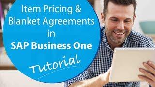 Mastering Item Pricing & Blanket Agreements in SAP Business One