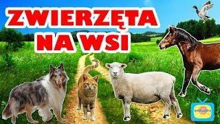 Farm Animals - Learn animals for children - Animal sounds