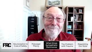 Polyvagal Theory The Science of Safety & Trauma with Dr  Stephen Porges